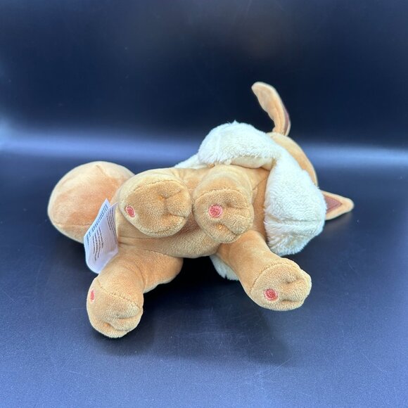 Pokémon Standing Smiling Eevee Plush Plushie Doll Stuffed Toy Official 2023 - Picture 7 of 11